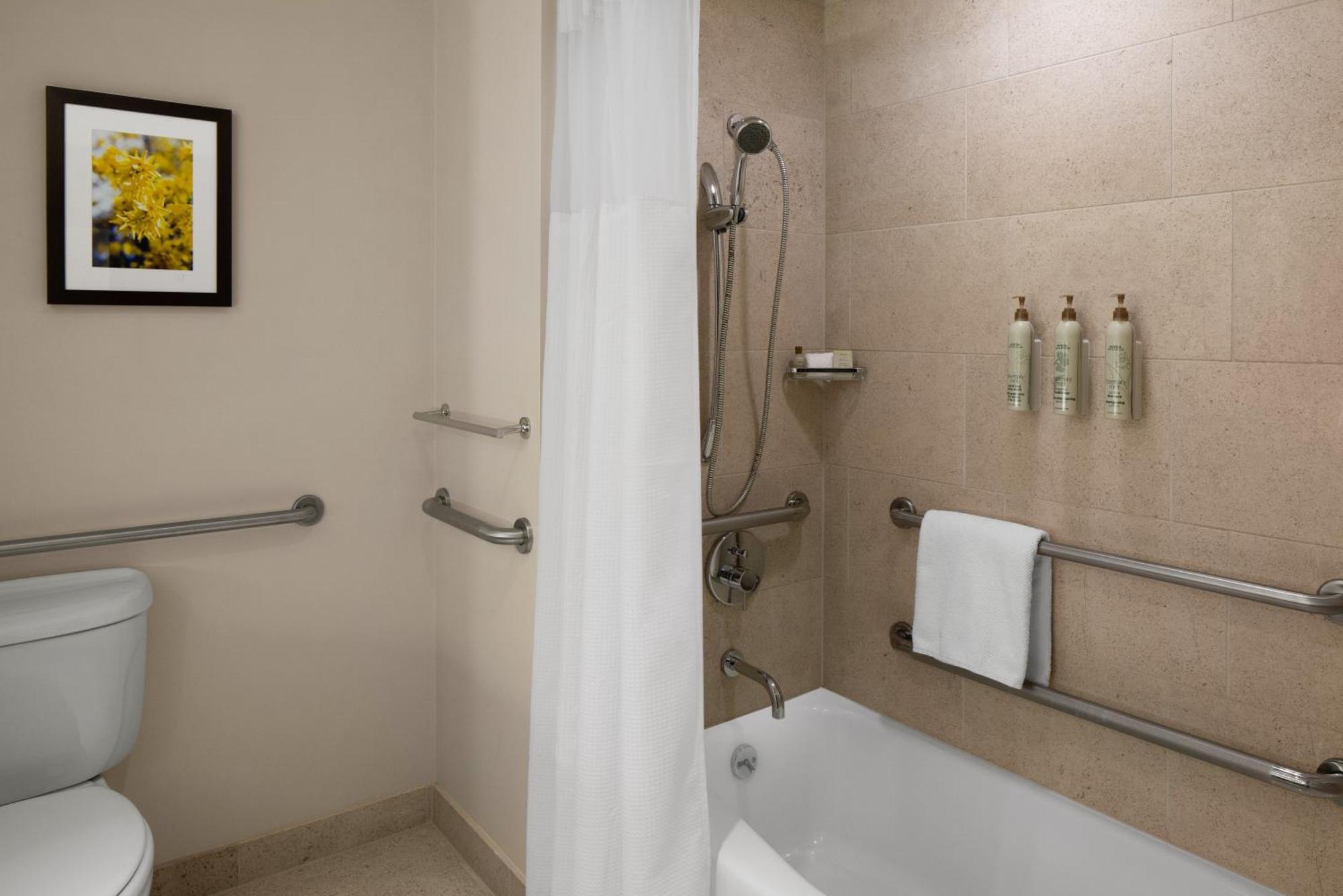 King Guest Room